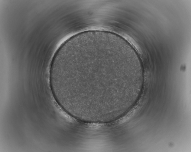 X0000094440854200711291634