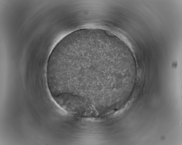 X0000094440855200711291634