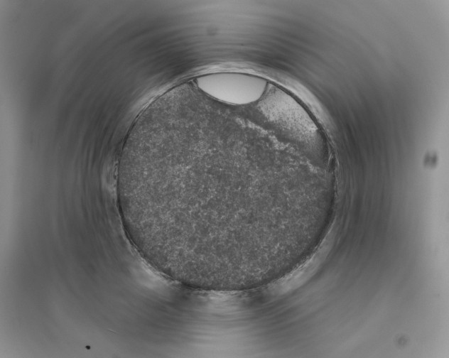 X0000094440857200711291634