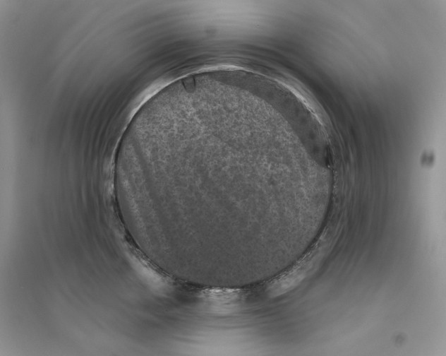 X0000094440858200711291634