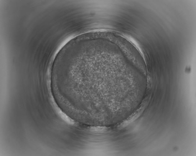 X0000094440859200711291634