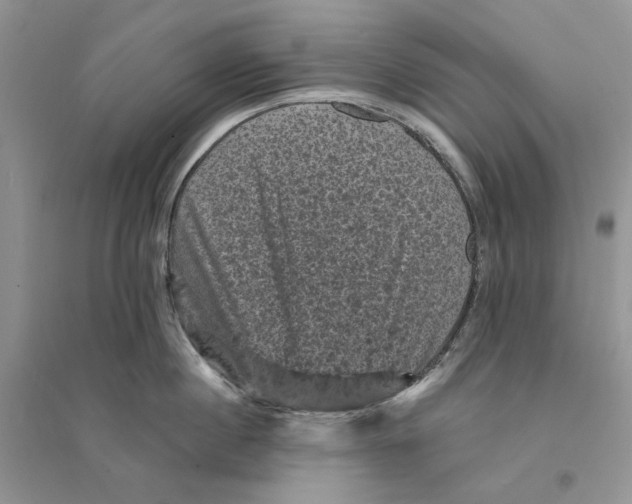 X0000094440860200711291634