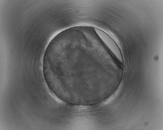 X0000094440862200711291634