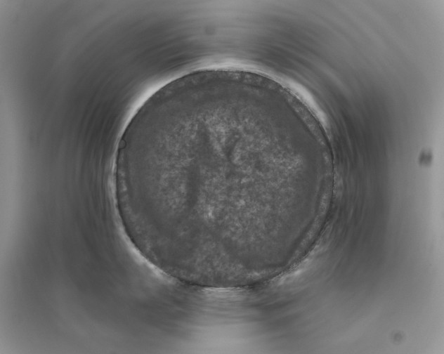 X0000094440863200711291634