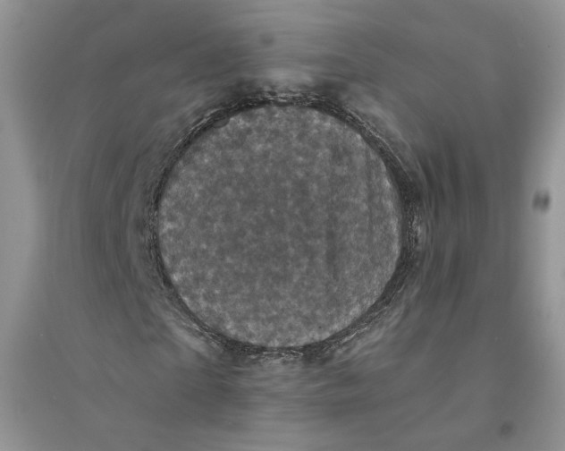 X0000094440865200711291633