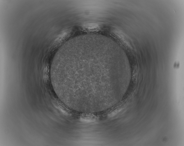 X0000094440866200711291633