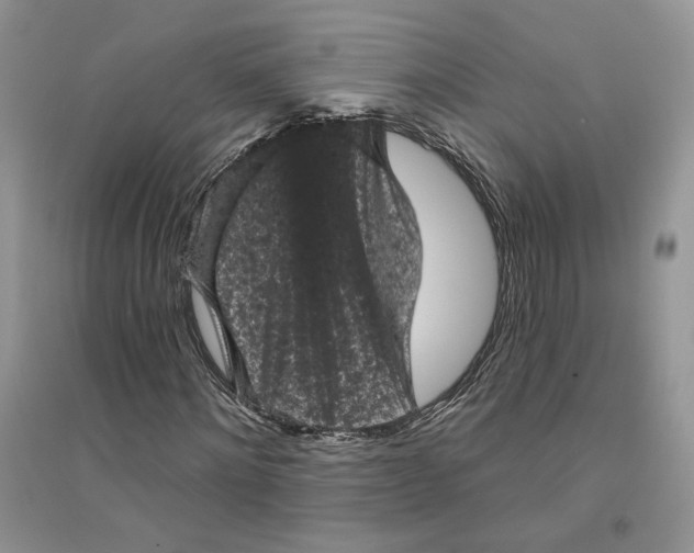 X0000094440868200711291633