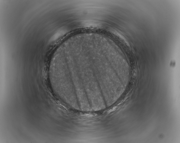 X0000094440869200711291633