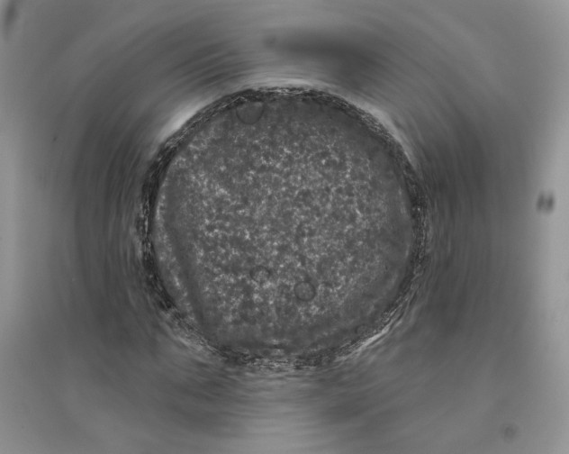 X0000094440871200711291633