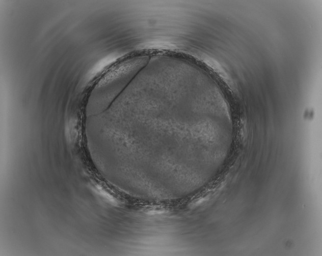 X0000094440872200711291633