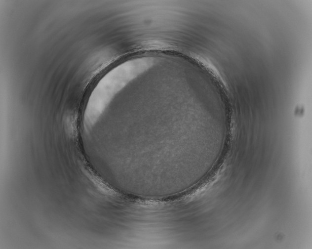 X0000094440873200711291633