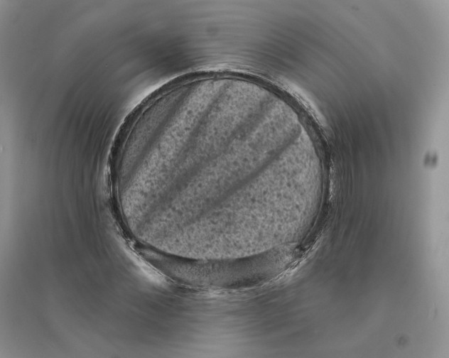 X0000094440876200711291633