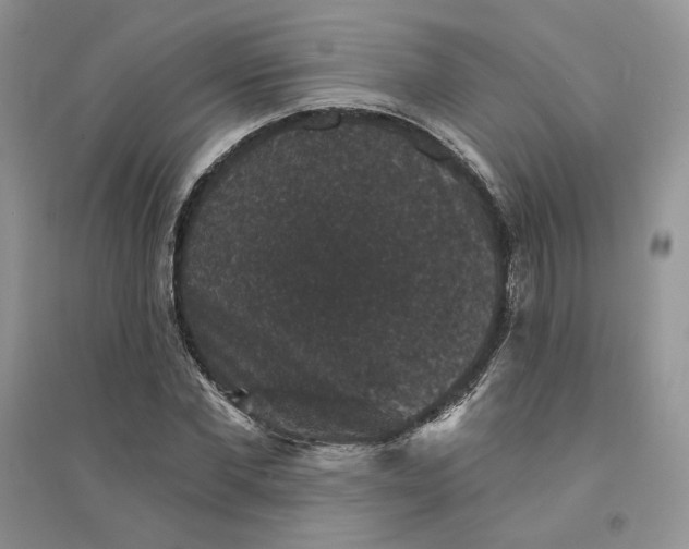 X0000094440877200711291633