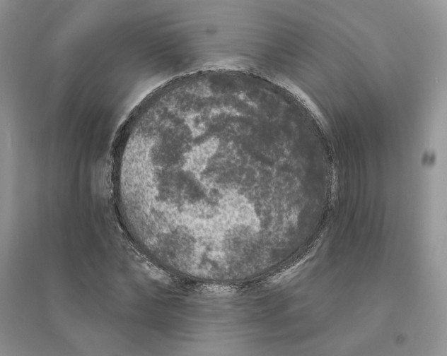 X0000094440878200711291633