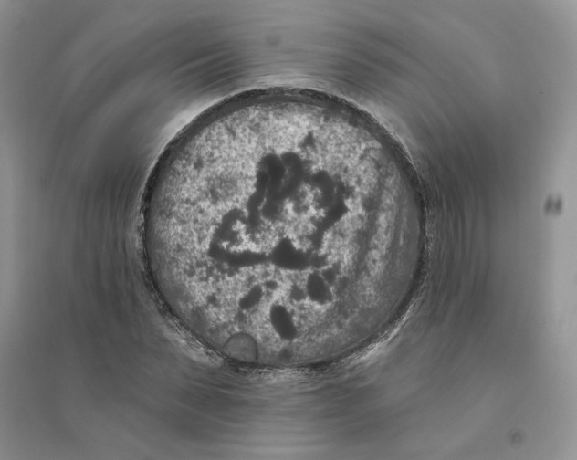 X0000094440879200711291633