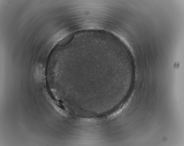 X0000094440881200711291633