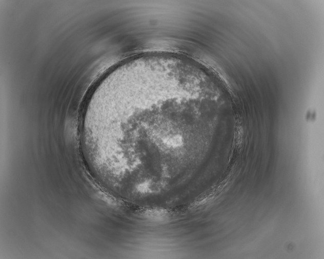 X0000094440882200711291633