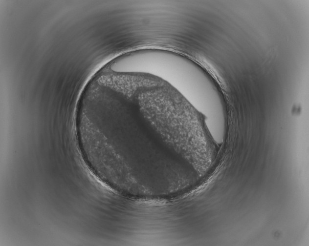 X0000094440884200711291633