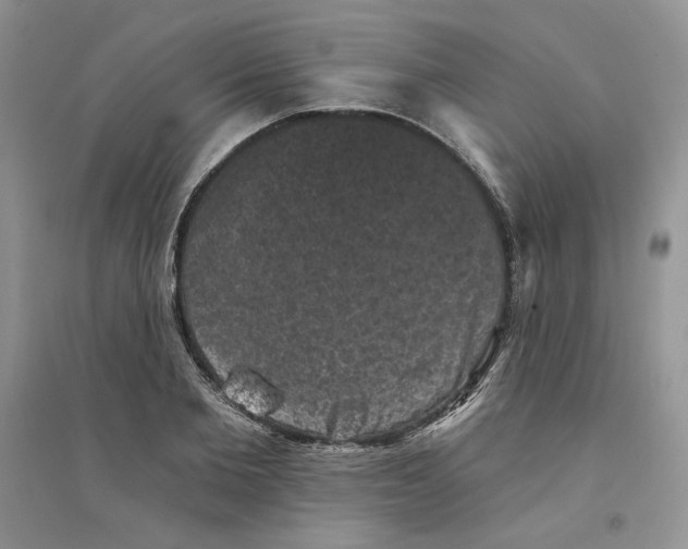 X0000094440885200711291633