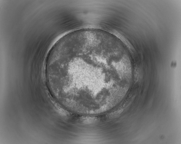 X0000094440886200711291633