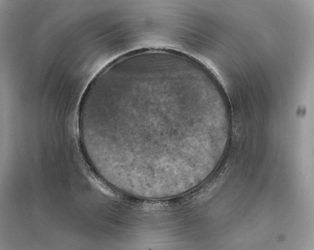 X0000094440887200711291633