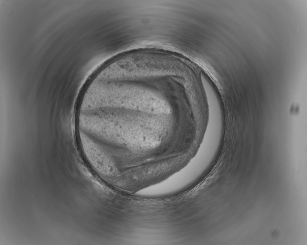 X0000094440888200711291633