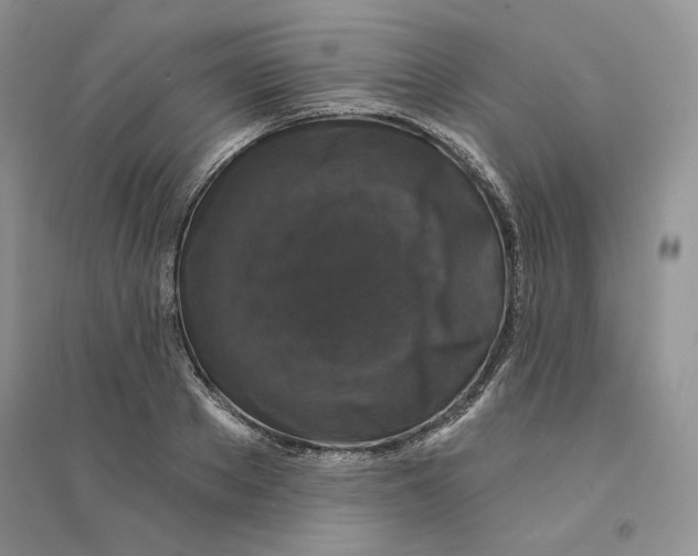 X0000094440889200711291633