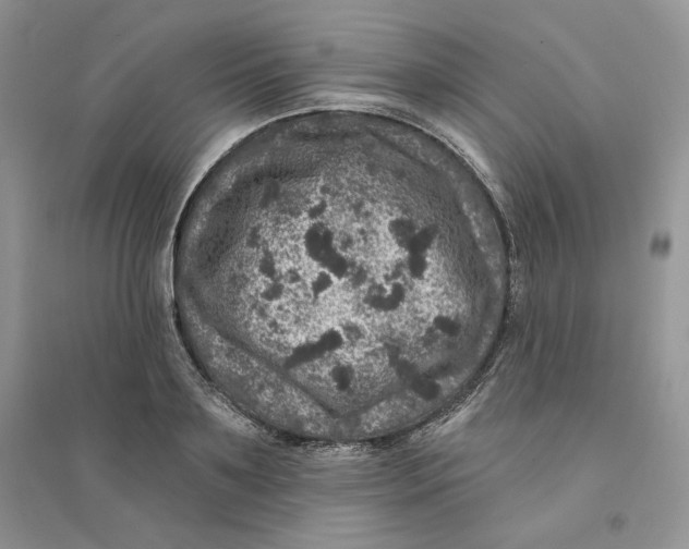 X0000094440891200711291633