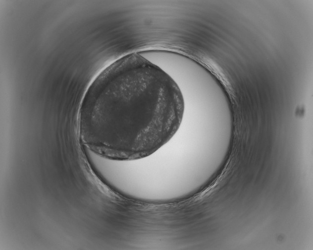 X0000094440892200711291633