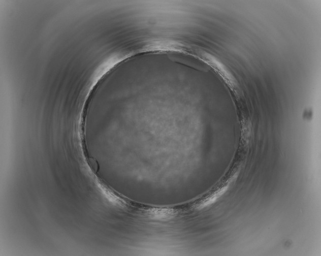 X0000094440893200711291633