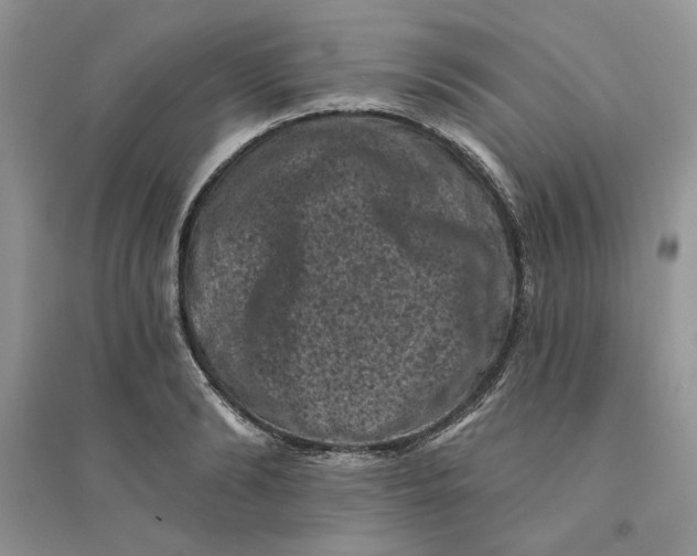 X0000094440894200711291633