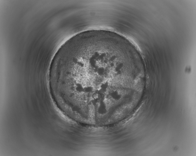 X0000094440895200711291633