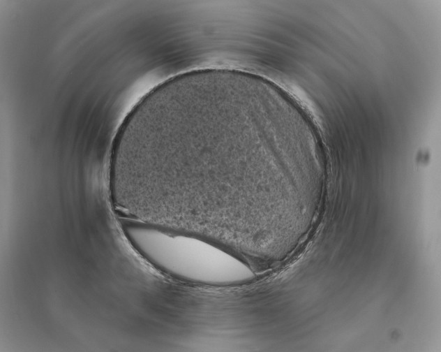 X0000094440896200711291633