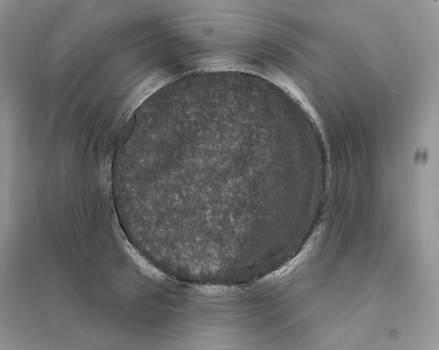 X0000094440897200711291633