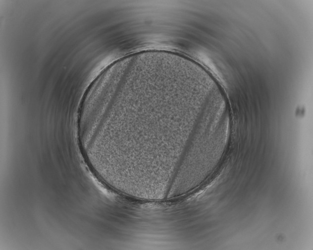 X0000094440898200711291633