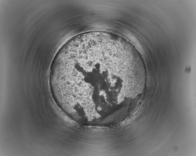 X0000094440899200711291633