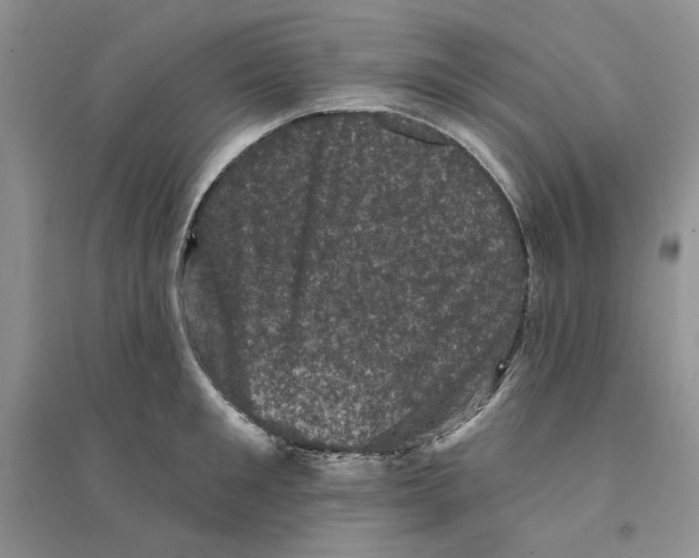 X0000094440901200711291633