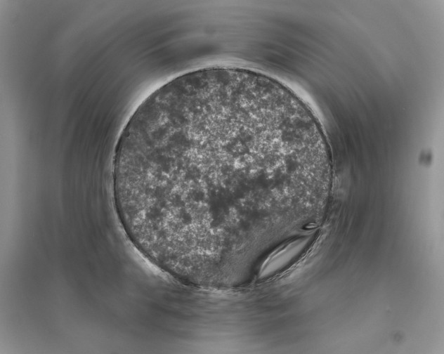 X0000094440903200711291633