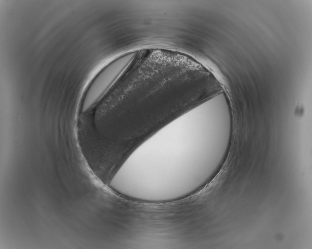 X0000094440904200711291633