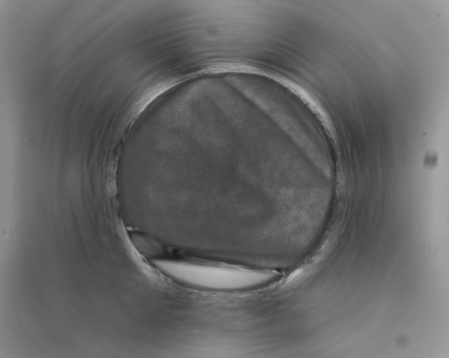 X0000094440905200711291633