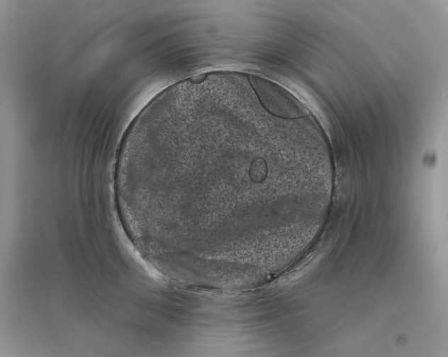 X0000094440906200711291633