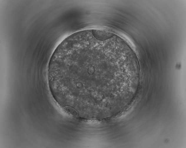 X0000094440907200711291633