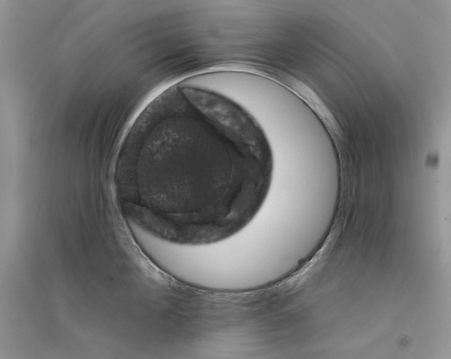 X0000094440908200711291633