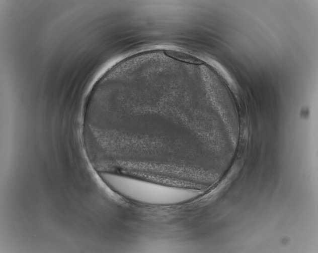 X0000094440910200711291633