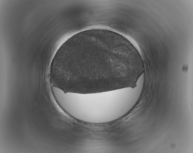 X0000094440911200711291632