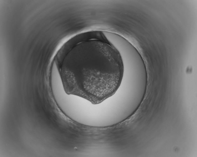 X0000094440912200711291632