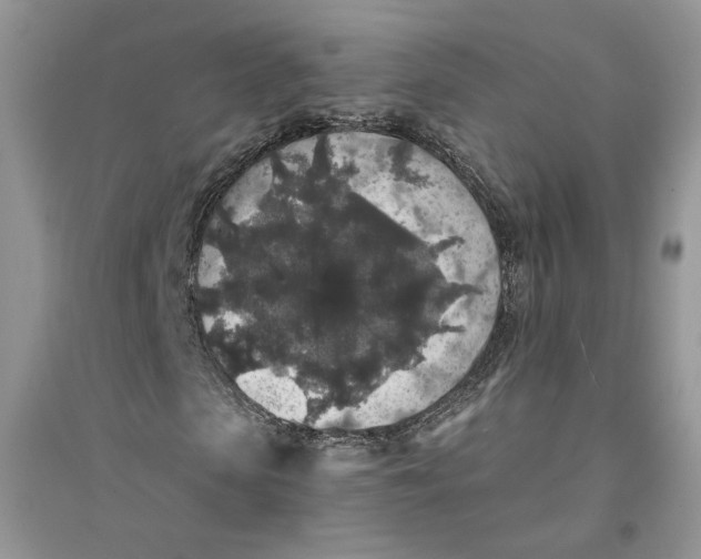 X0000094440913200711291632