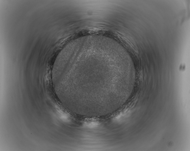 X0000094440914200711291632