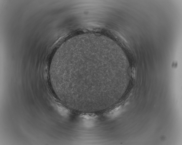 X0000094440915200711291632