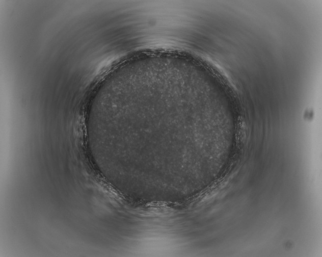 X0000094440918200711291632